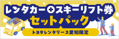 トヨタレンタリース愛知限定