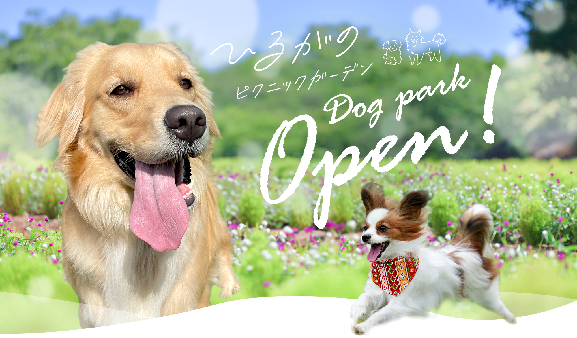 ひるがのピクニックガーデン　Dog park Open!