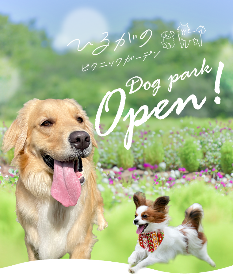 ひるがのピクニックガーデン　Dog park Open!