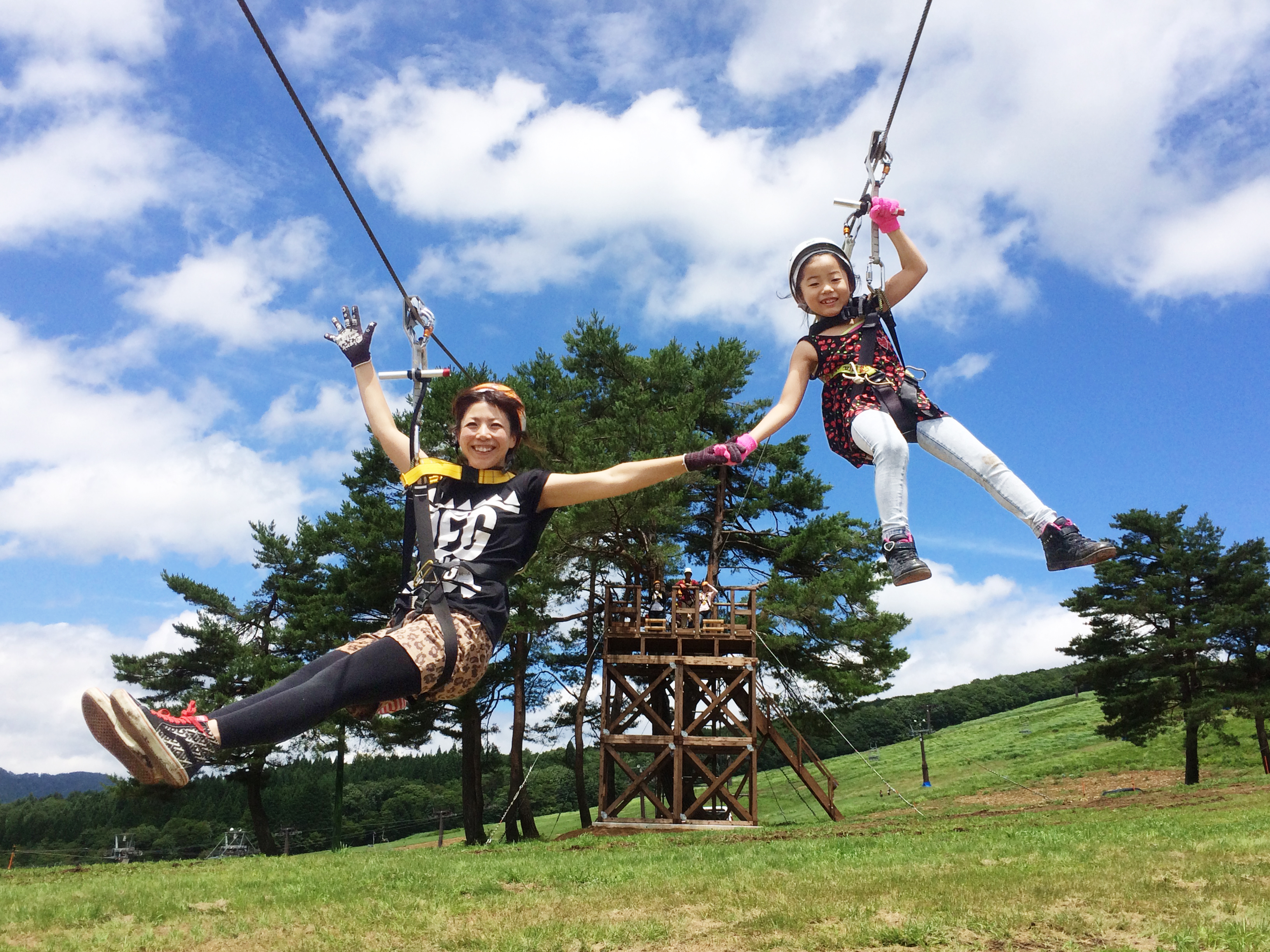 ニュース イベント ひるがのピクニックガーデン 桃色吐息とコキアの丘 岐阜県郡上市